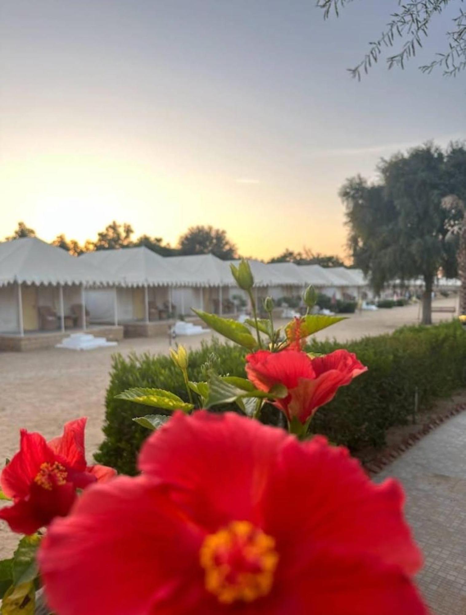 Sam Dunes Desert Luxury Camp & Resort Jaisalmer Zewnętrze zdjęcie